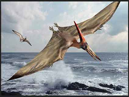 Pterodactyl